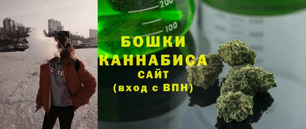 прущие крисы Ельня