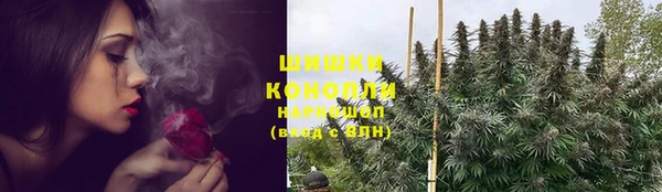 прущие крисы Ельня