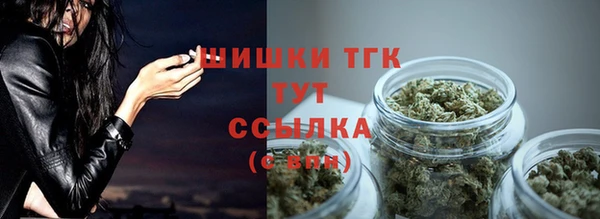 ГАЛЛЮЦИНОГЕННЫЕ ГРИБЫ Елабуга