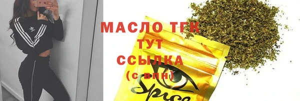 прущие крисы Ельня