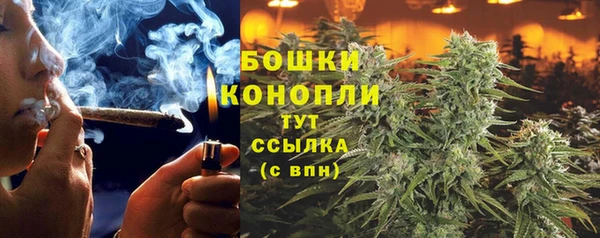трава Елизово