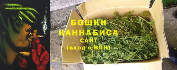 прущие крисы Ельня