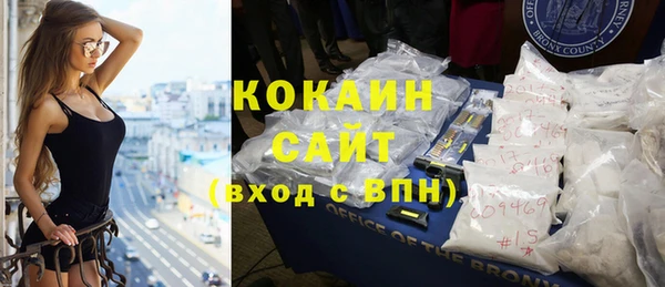 прущие крисы Ельня