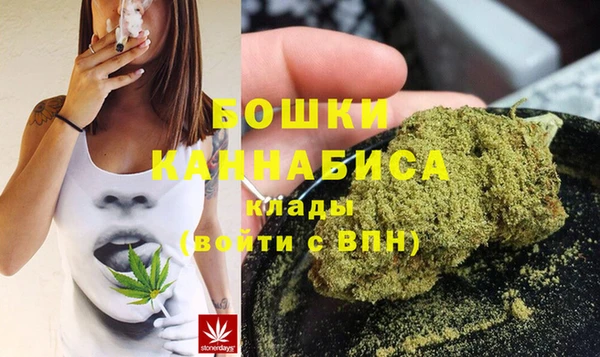 ГАЛЛЮЦИНОГЕННЫЕ ГРИБЫ Елабуга