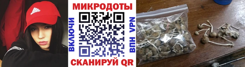 Галлюциногенные грибы ЛСД  Новый Уренгой 